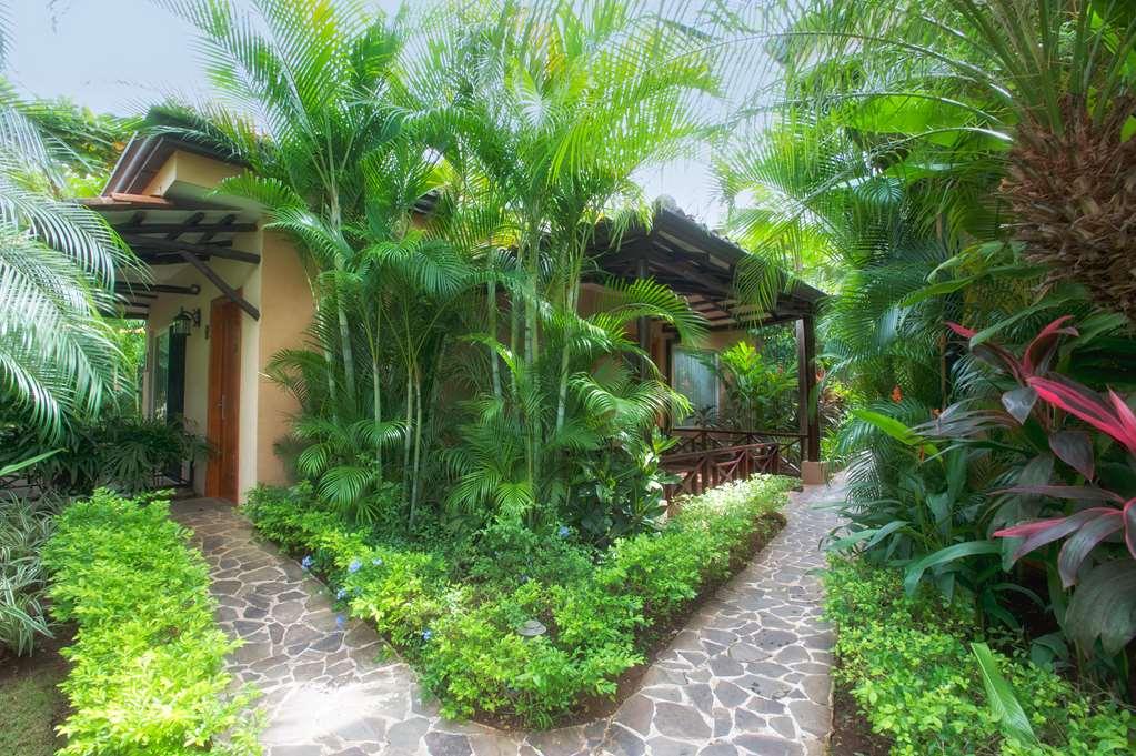 Hotel Jardin Del Eden Boutique Tamarindo